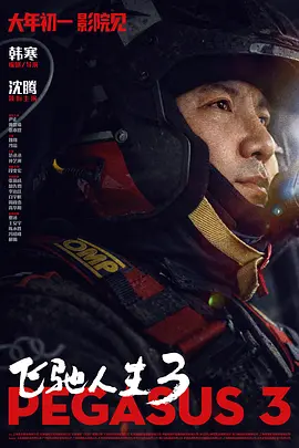 99久久精品久久久