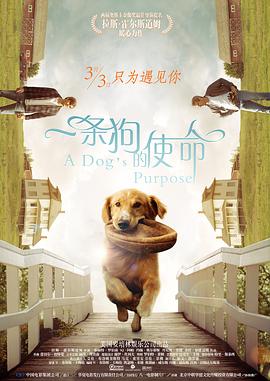 欧美日韩黄视频